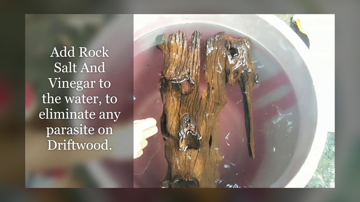 Top 10 wood soaking methods 2027 — figure 2