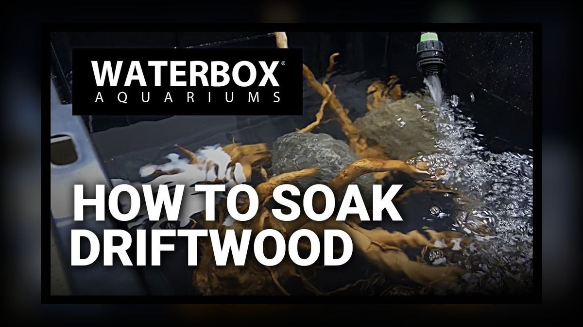 Top 10 wood soaking methods 2027 — figure 3