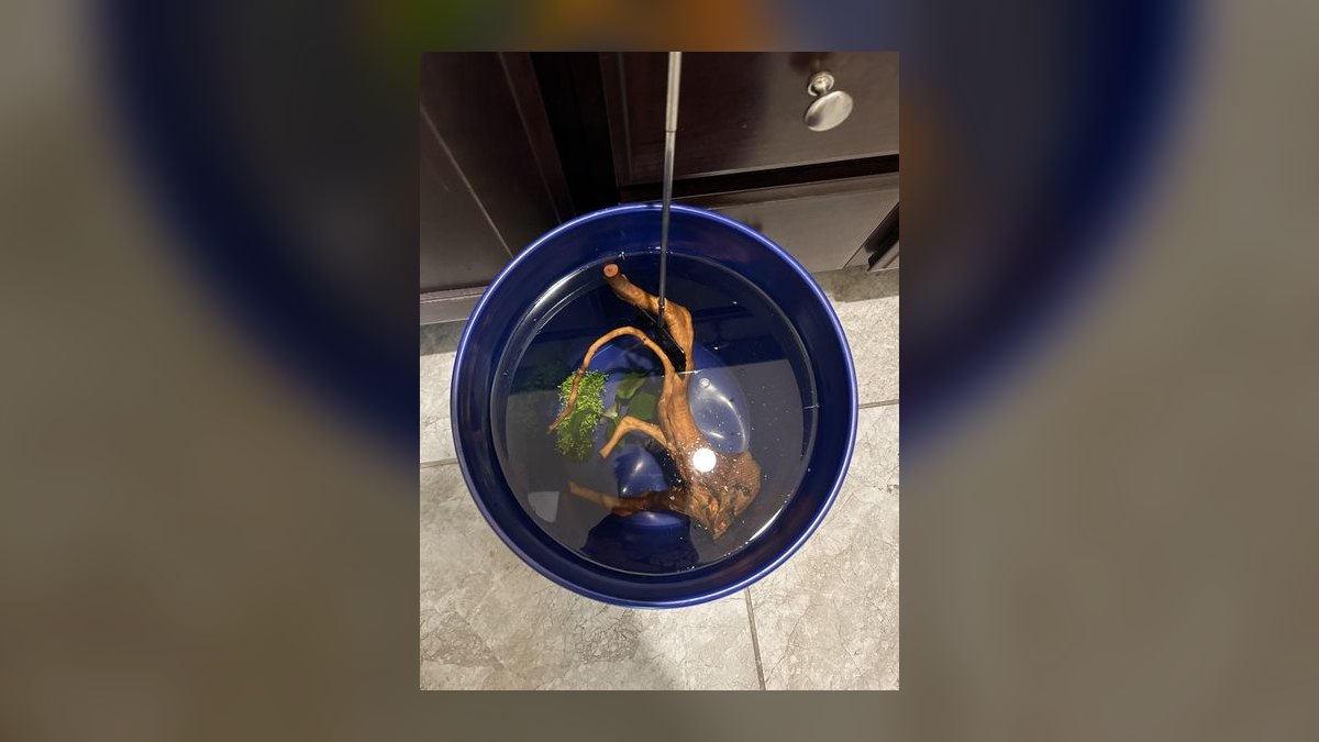 Top 10 wood soaking methods 2027 — figure 8