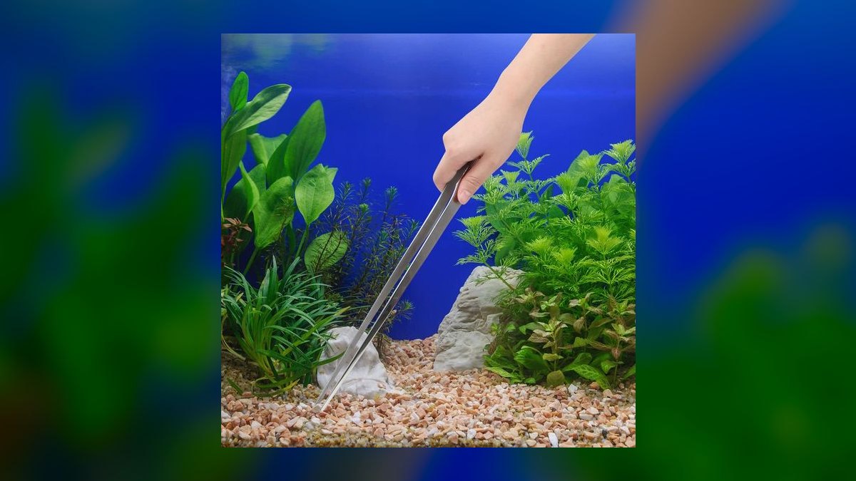 Top 10 stem plant trimming 2027 — figure 2
