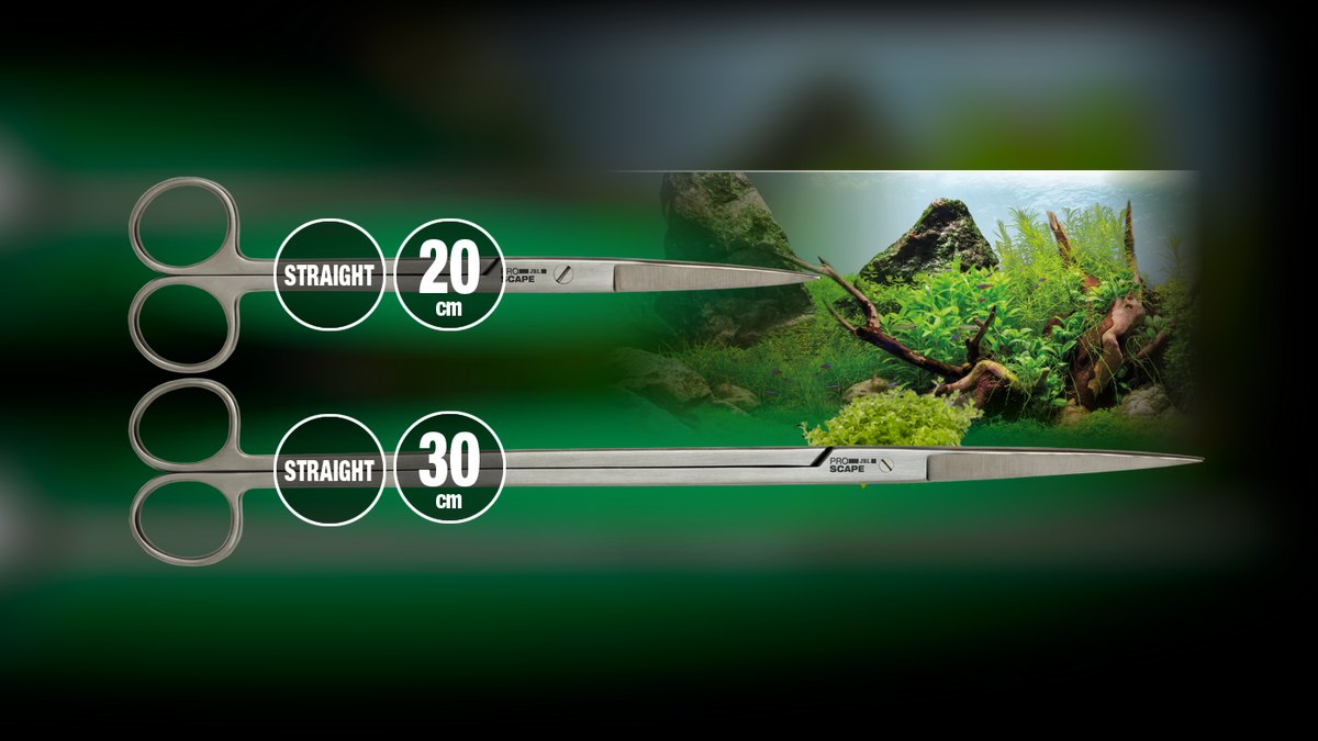 Top 10 stem plant trimming 2027 — figure 9