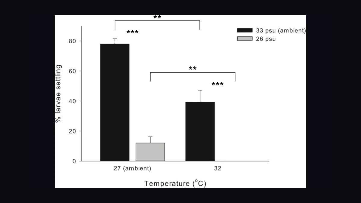 Top 10 ich medication tips 2027 — figure 9