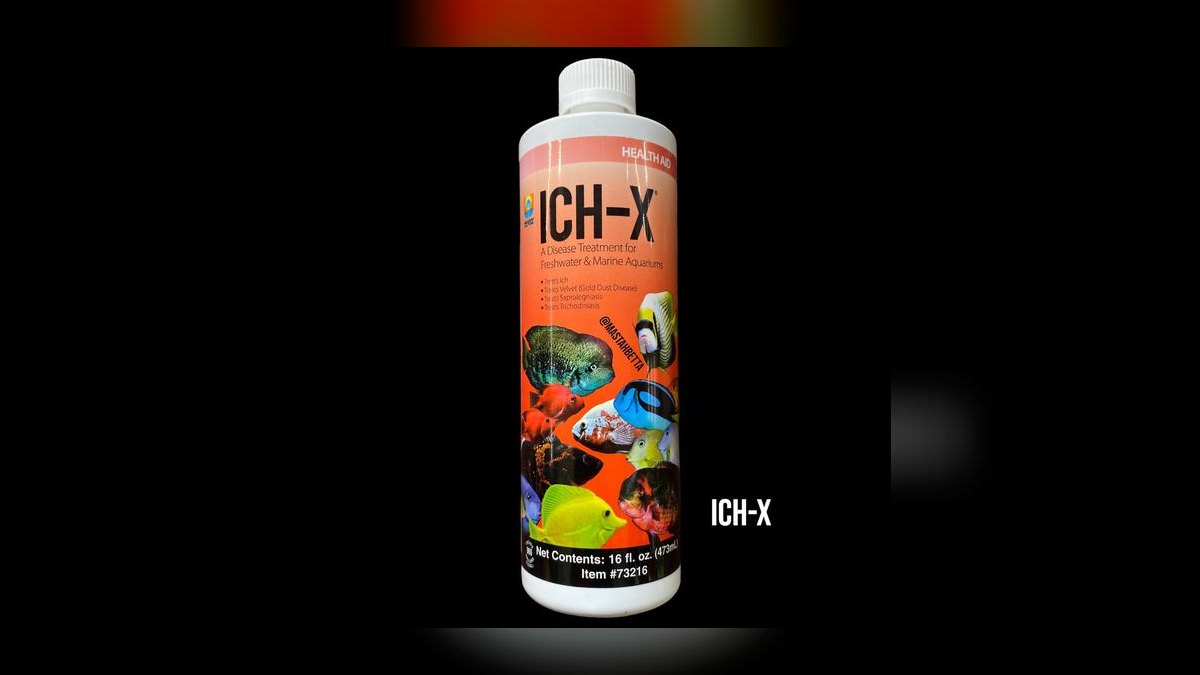 Top 10 fish parasite cures 2027 — figure 9
