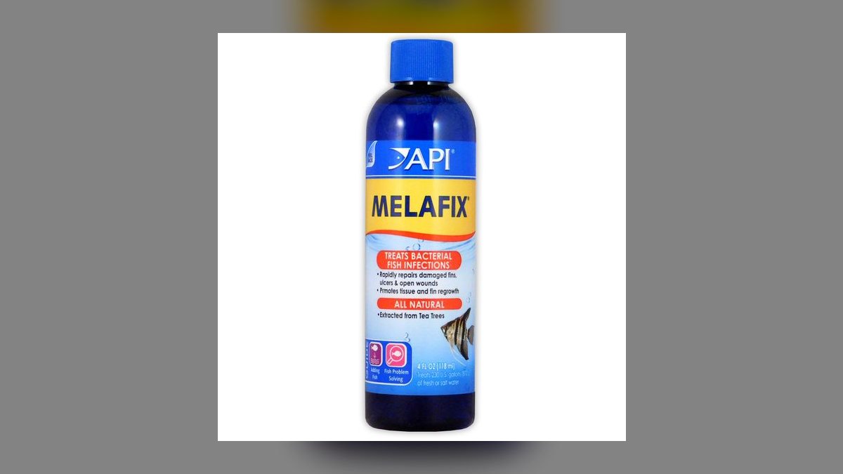 Top 10 columnaris symptoms 2027 — figure 1