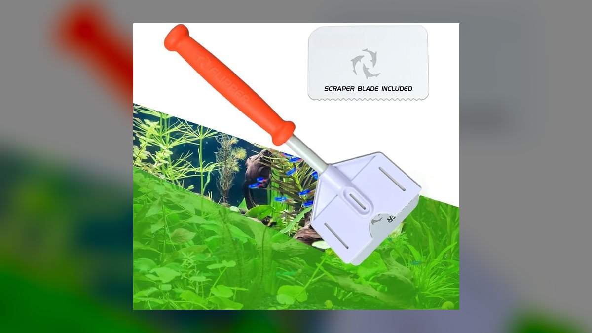 Top 10 algae scraper types 2027 — figure 1