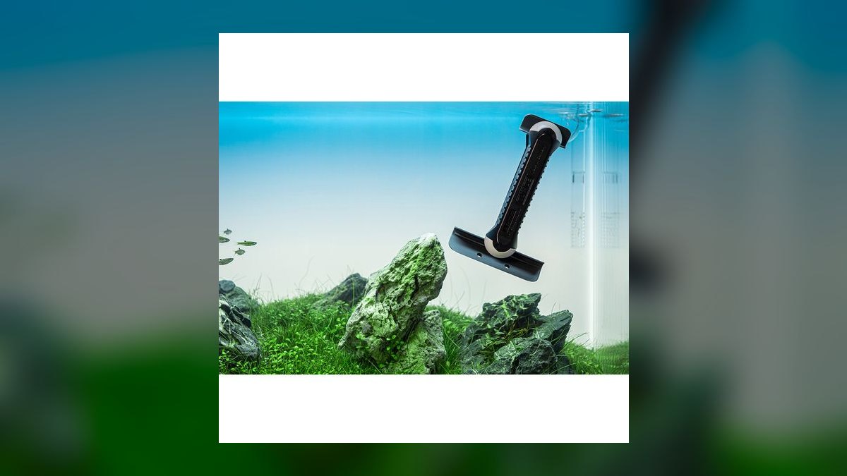 Top 10 algae scraper types 2027