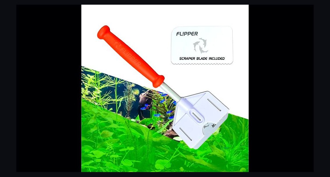 Top 10 algae scraper types 2027