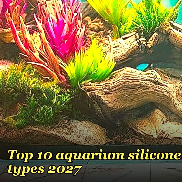 Top 10 aquarium silicone types 2027