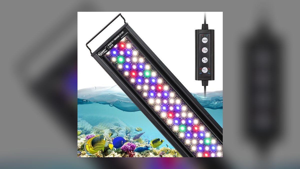 Top 10 light spectrum needs 2027 — figure 9