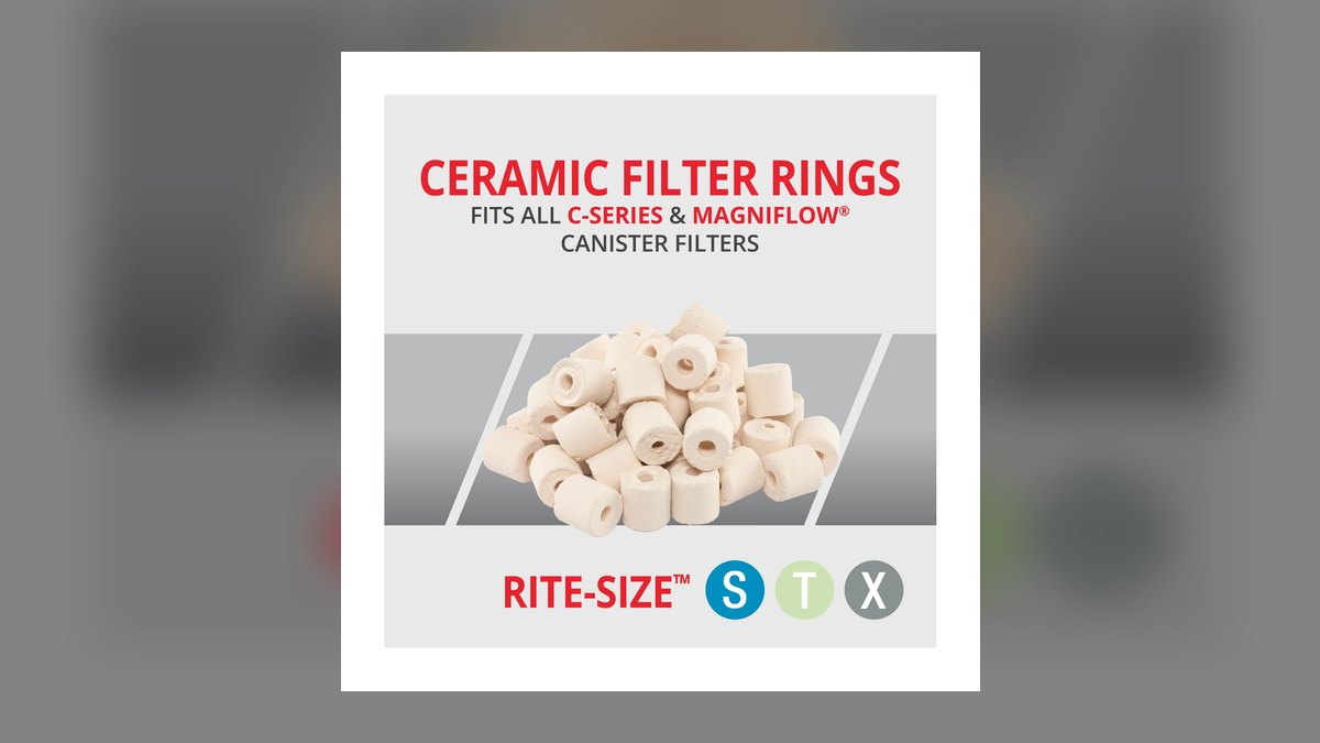 Top 10 ceramic ring brands 2027 — figure 1