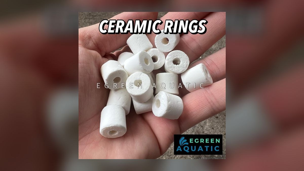 Top 10 ceramic ring brands 2027 — figure 10