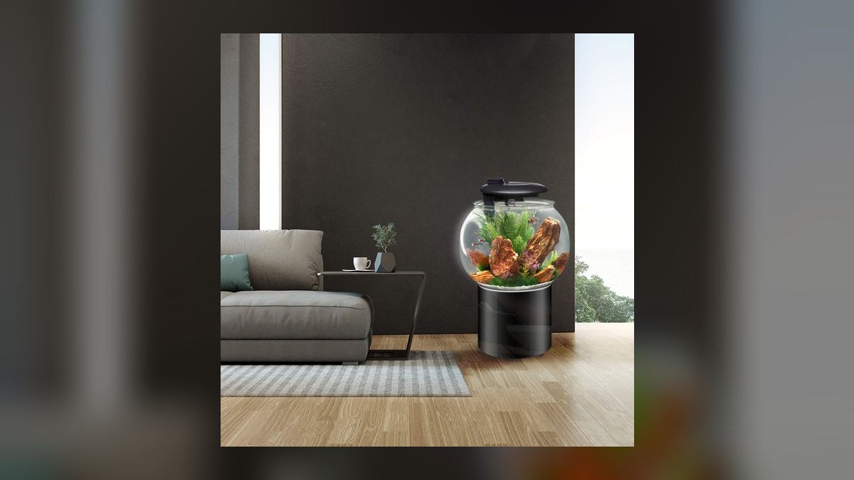 Top 10 ceramic ring brands 2027 — figure 9