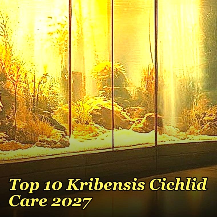 Top 10 Kribensis Cichlid Care 2027