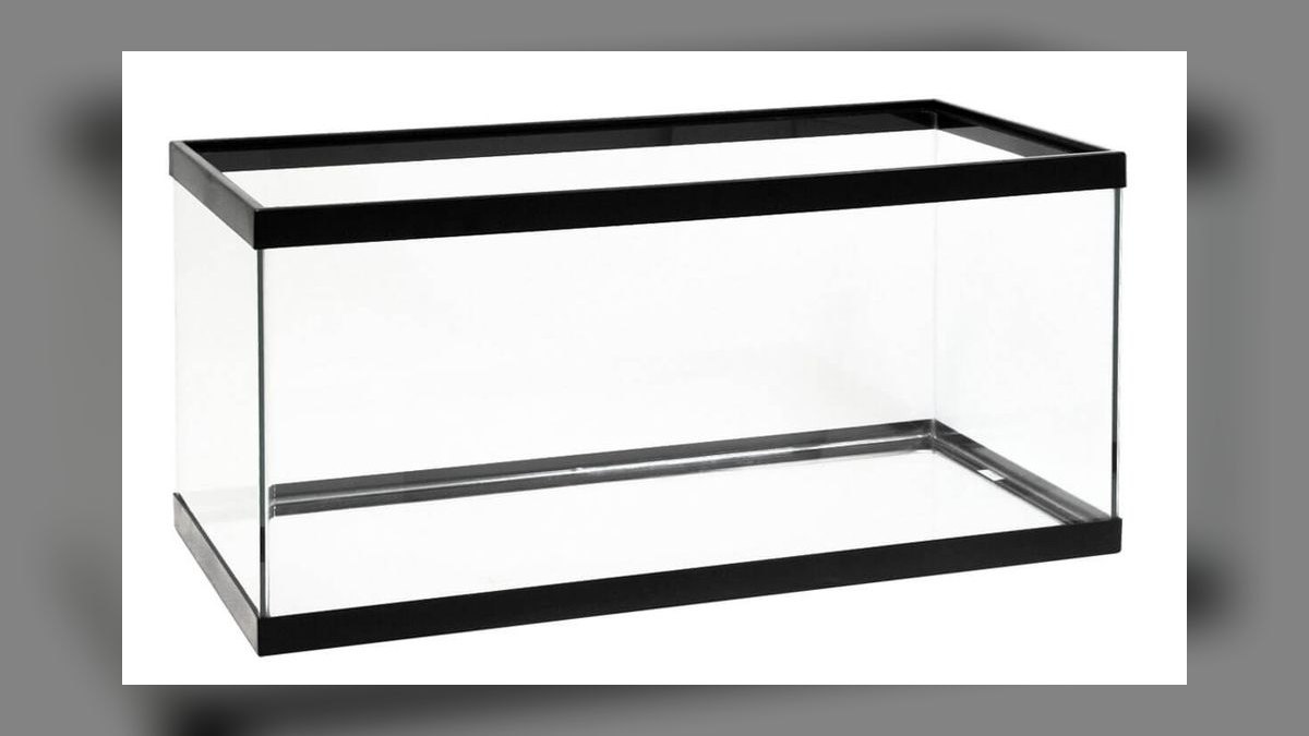 Top 10 Firemouth Cichlid Tank Size 2027 — figure 1