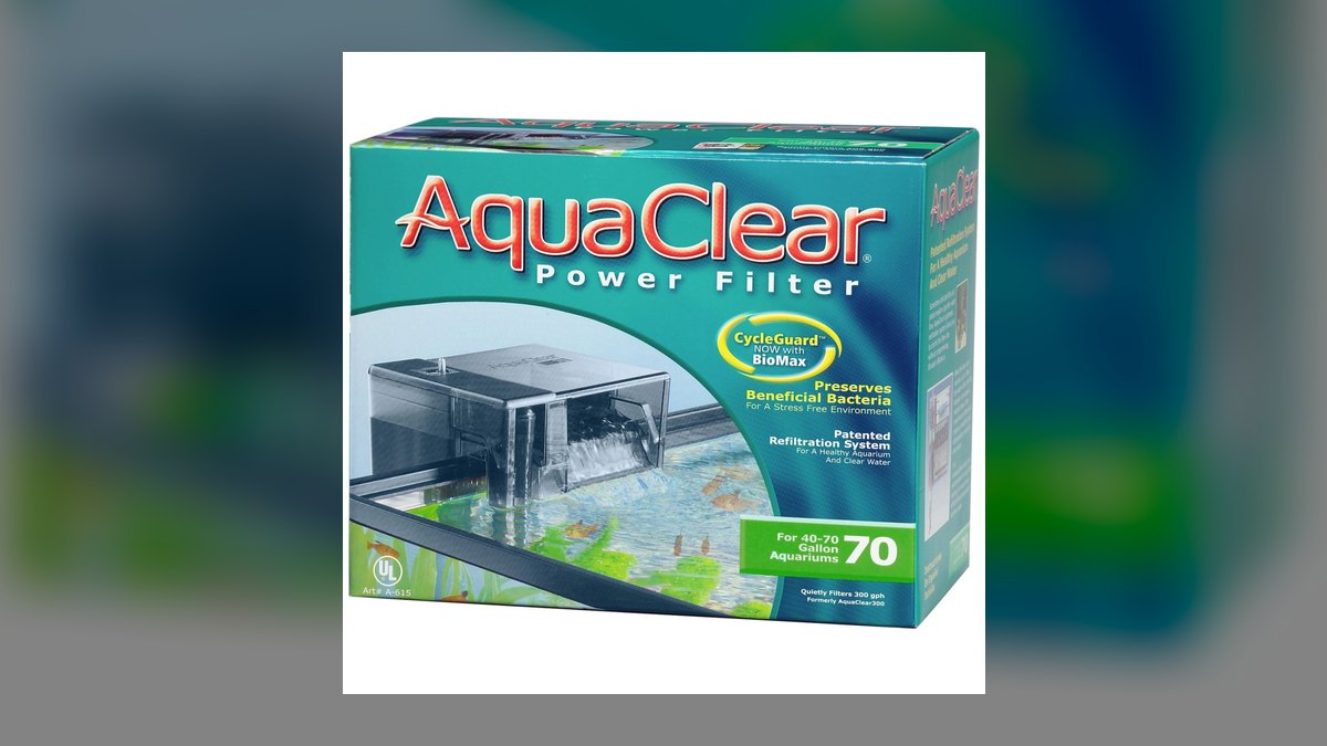 Top 10 Firemouth Cichlid Tank Size 2027 — figure 4