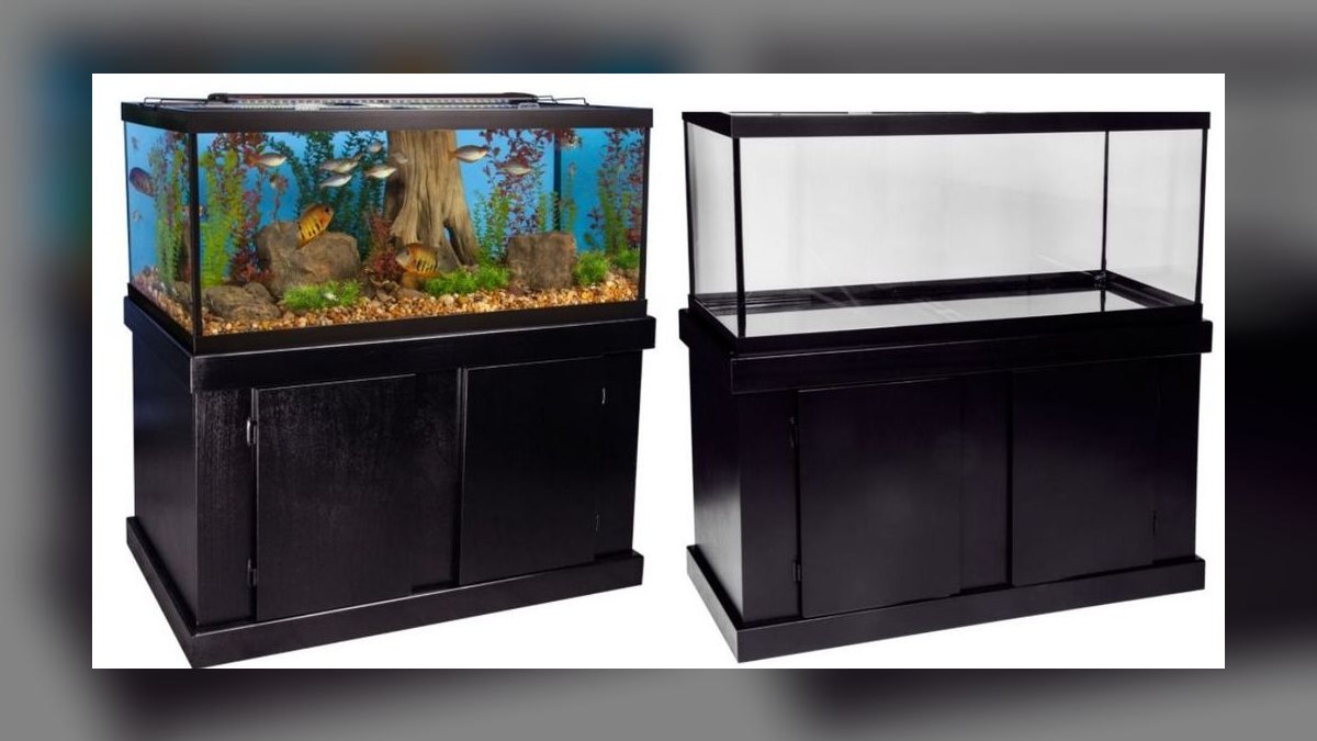 Top 10 Firemouth Cichlid Tank Size 2027 — figure 6