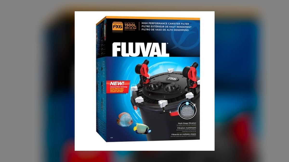 Top 10 Frontosa Cichlid Setup 2027 — figure 1