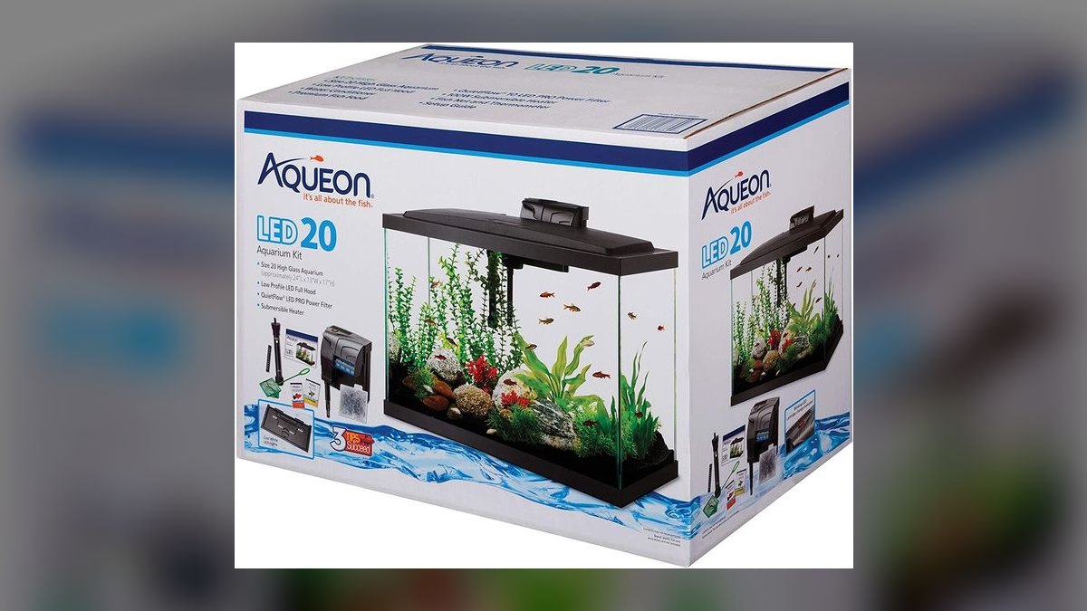 Top 10 Frontosa Cichlid Setup 2027 — figure 5