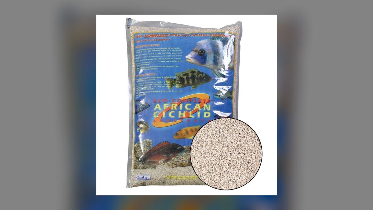 Top 10 Frontosa Cichlid Setup 2027 — figure 6