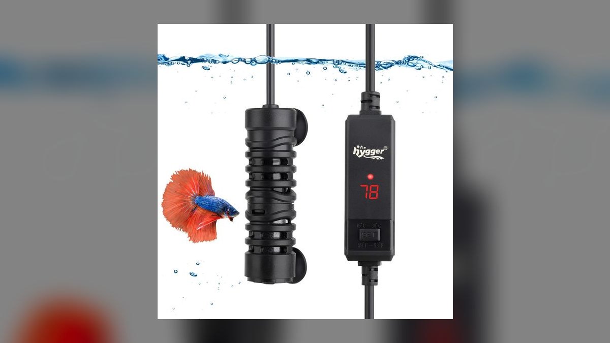 Top 10 Pea Puffer Tank Setup 2027 — figure 10
