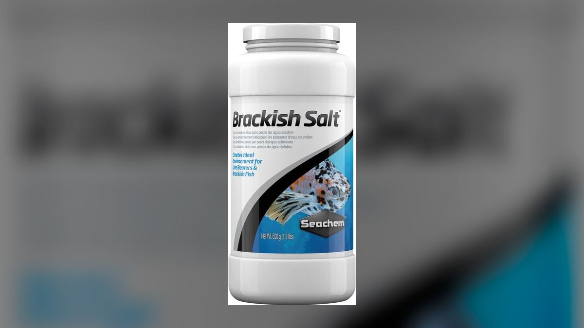 Top 10 Figure 8 Puffer Brackish Setup 2027 — figure 1