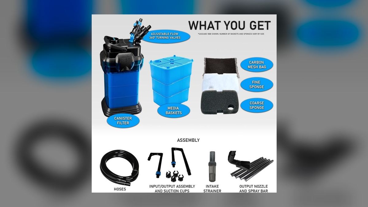 Top 10 Figure 8 Puffer Brackish Setup 2027 — figure 10
