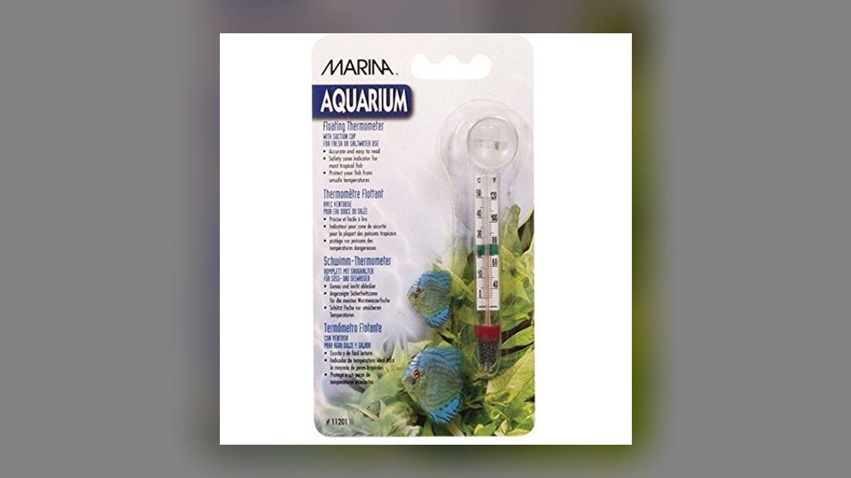 Top 10 Figure 8 Puffer Brackish Setup 2027 — figure 8