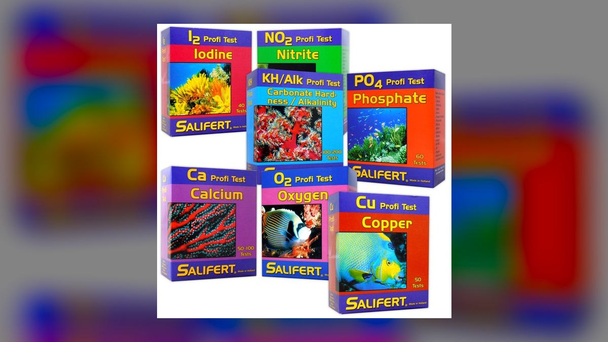 Top 10 Mandarin Dragonet Care 2027 — figure 9