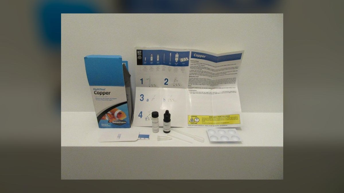 Top 10 Blue Tang Care Requirements 2027 — figure 5