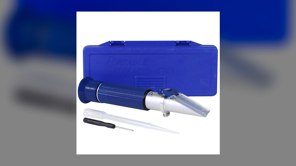 Top 10 Blue Tang Care Requirements 2027 — figure 6