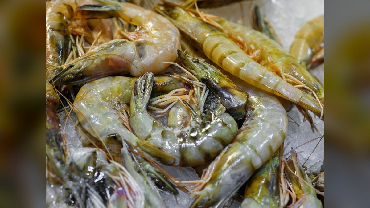 Top 10 Cleaner Shrimp Species 2027 — figure 3
