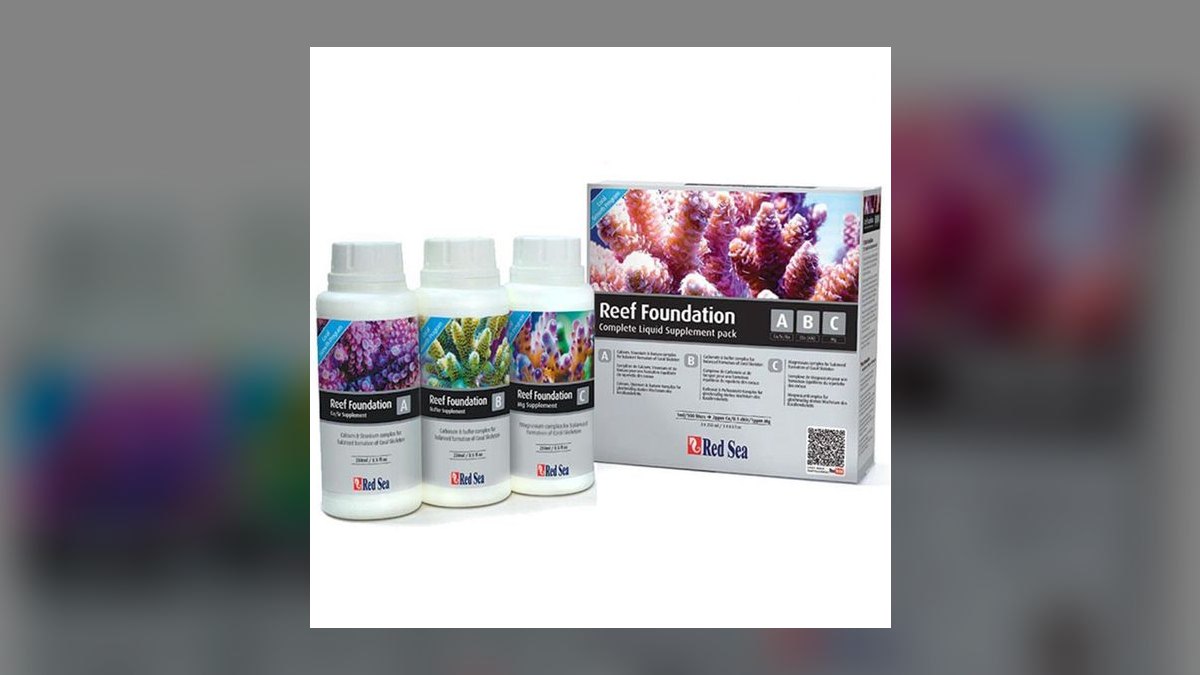 Top 10 Mushroom Corals for Reef Tanks 2027 — figure 9