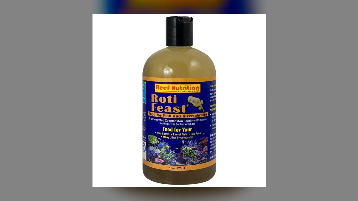 Top 10 Torch Coral Care Tips 2027 — figure 10