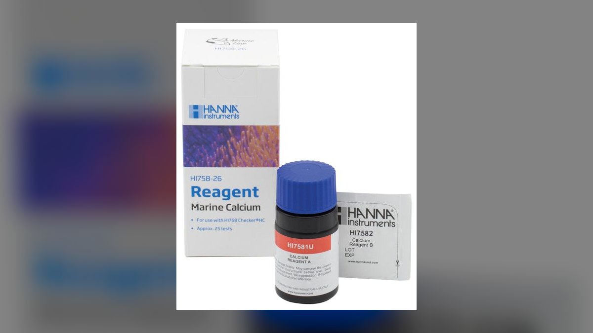 Top 10 Torch Coral Care Tips 2027 — figure 9