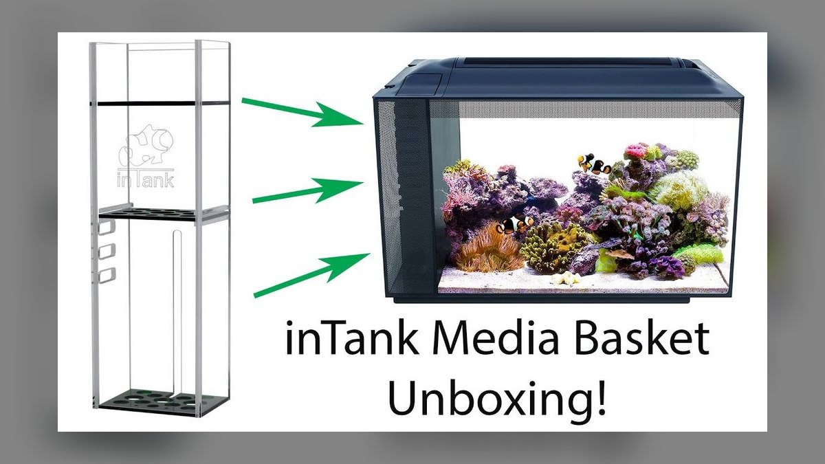 Top 10 Chaetomorpha Refugium Setup 2027 — figure 2