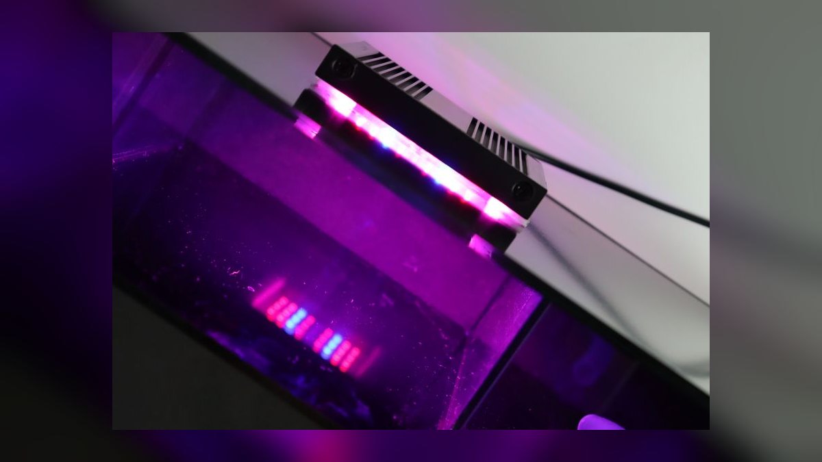 Top 10 Chaetomorpha Refugium Setup 2027 — figure 3