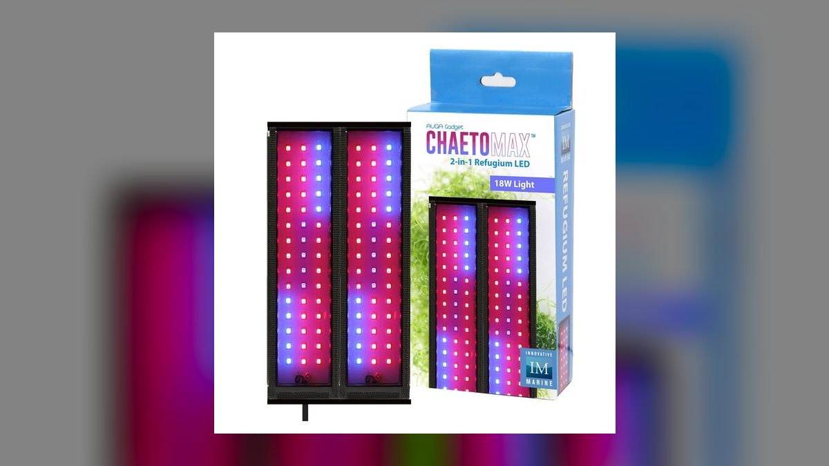 Top 10 Chaetomorpha Refugium Setup 2027