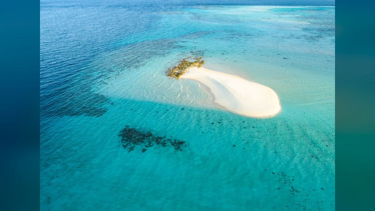 Top 10 Live Sand for Reef Tanks 2027 — figure 5