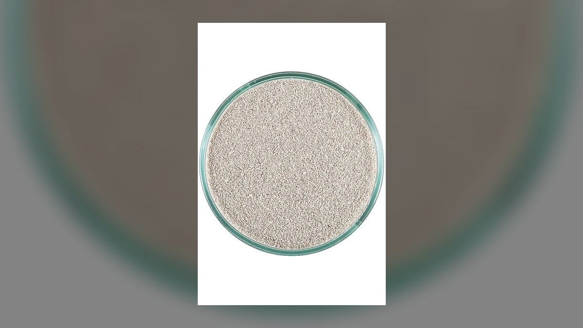 Top 10 Live Sand for Reef Tanks 2027 — figure 7