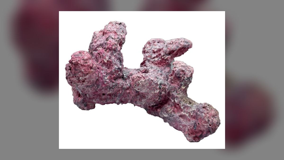 Top 10 Live Sand for Reef Tanks 2027 — figure 8