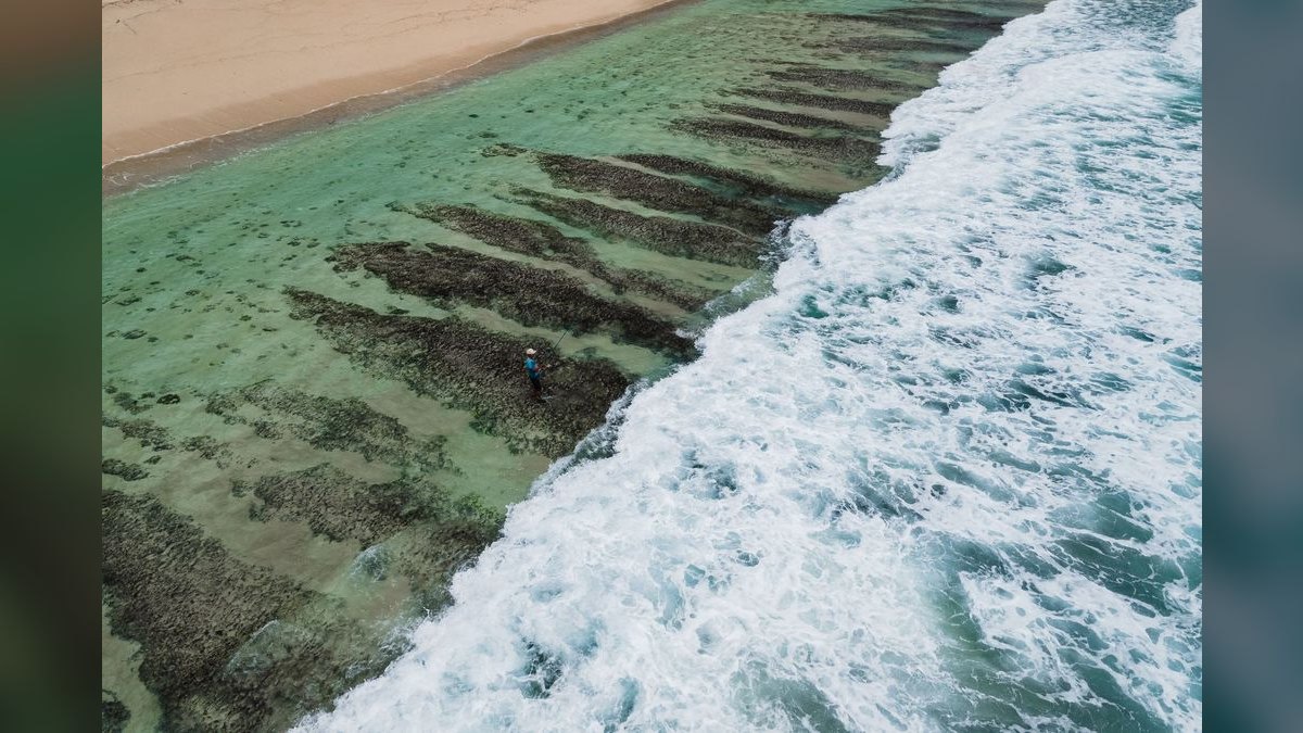 Top 10 Live Sand for Reef Tanks 2027