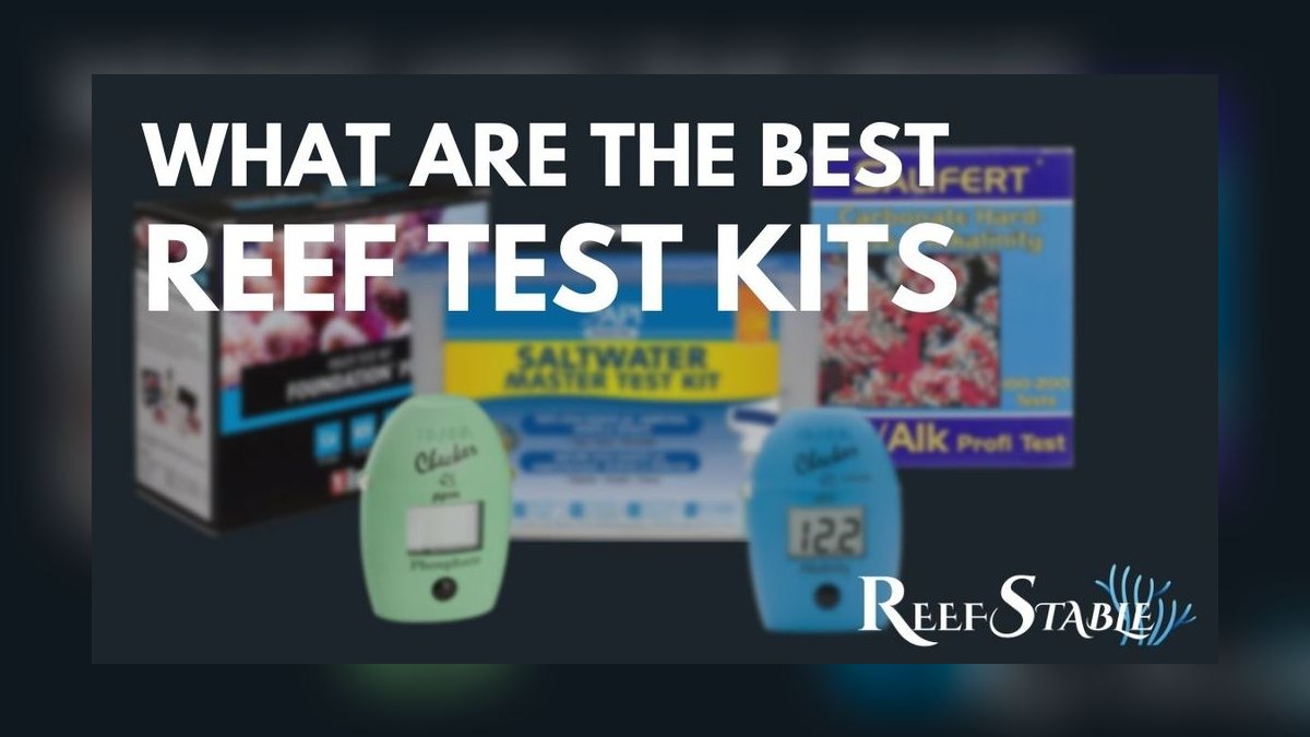Top 10 Reef Tank Test Kits 2027
