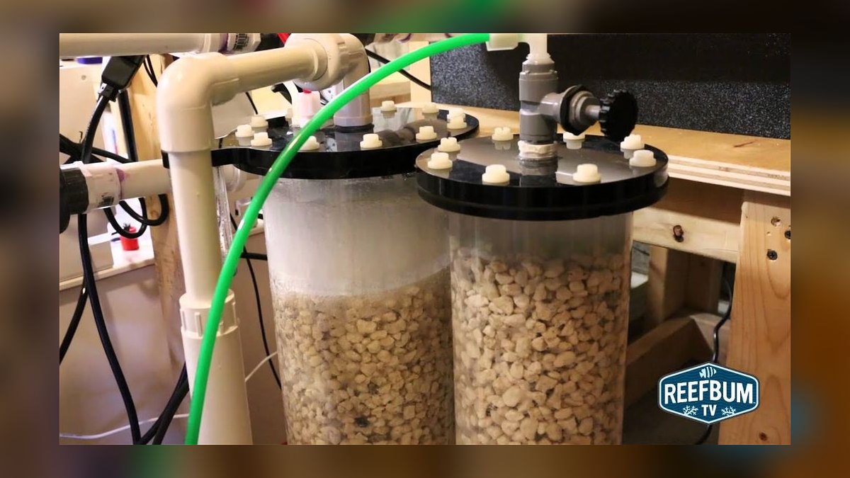 Top 10 Calcium Reactors for Reefs 2027 — figure 7