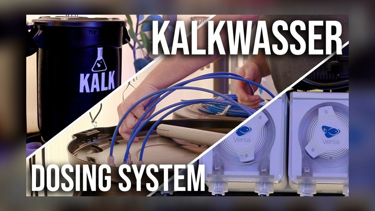 Top 10 Kalkwasser Dosing Systems 2027 — figure 7