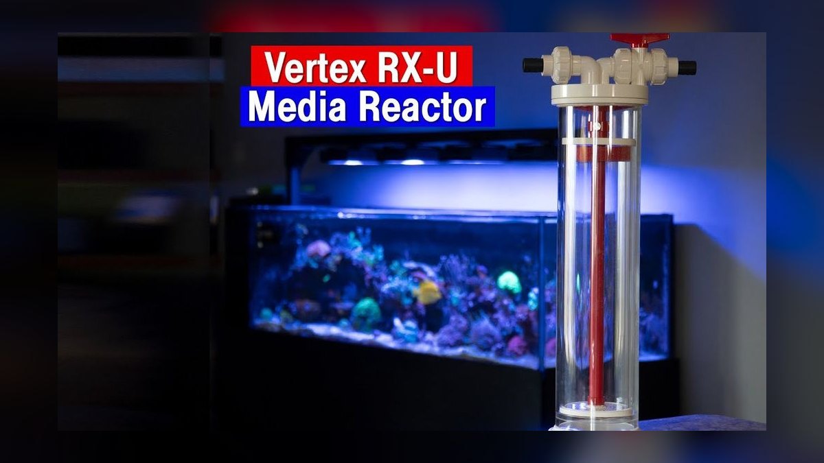 Top 10 Media Reactors for Reef Tanks 2027 — figure 5