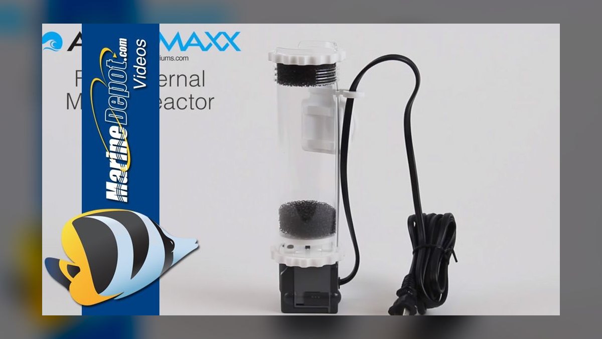 Top 10 Media Reactors for Reef Tanks 2027 — figure 6
