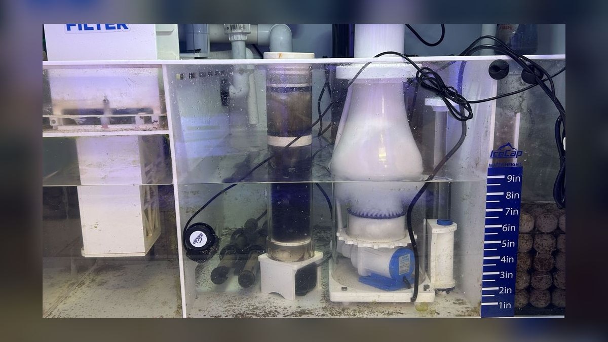 Top 10 Media Reactors for Reef Tanks 2027 — figure 9