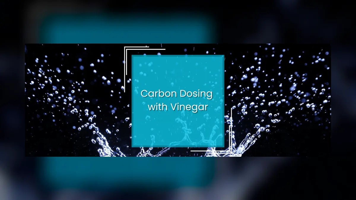 Top 10 Carbon Dosing Reef Methods 2027 — figure 3