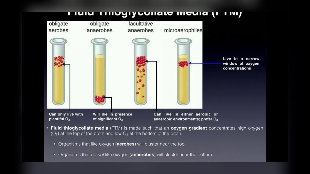 Top 10 Carbon Dosing Reef Methods 2027 — figure 5