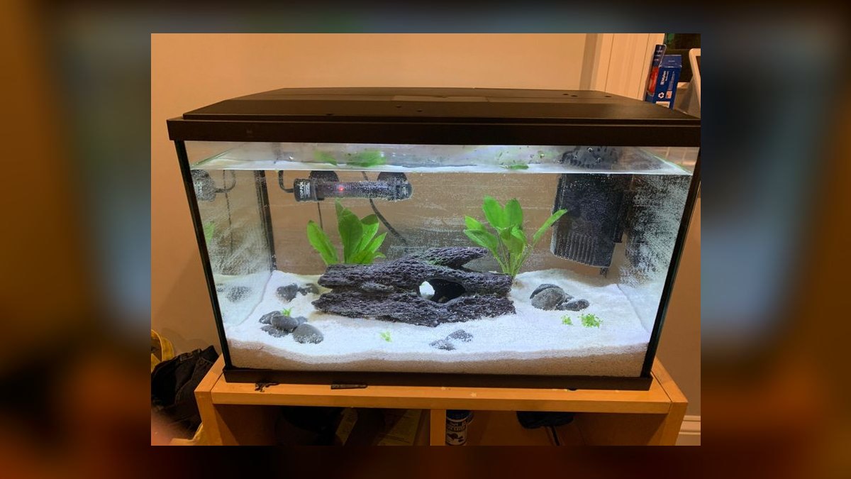 Top 10 Quarantine Tank Equipment 2027 — figure 8